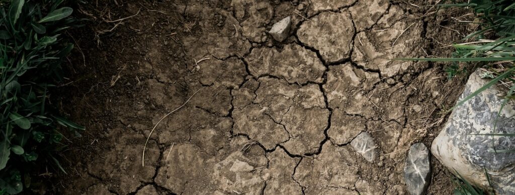 How long does it take for grass seed to grow in clay soil. This can feel like forever, but fear not.