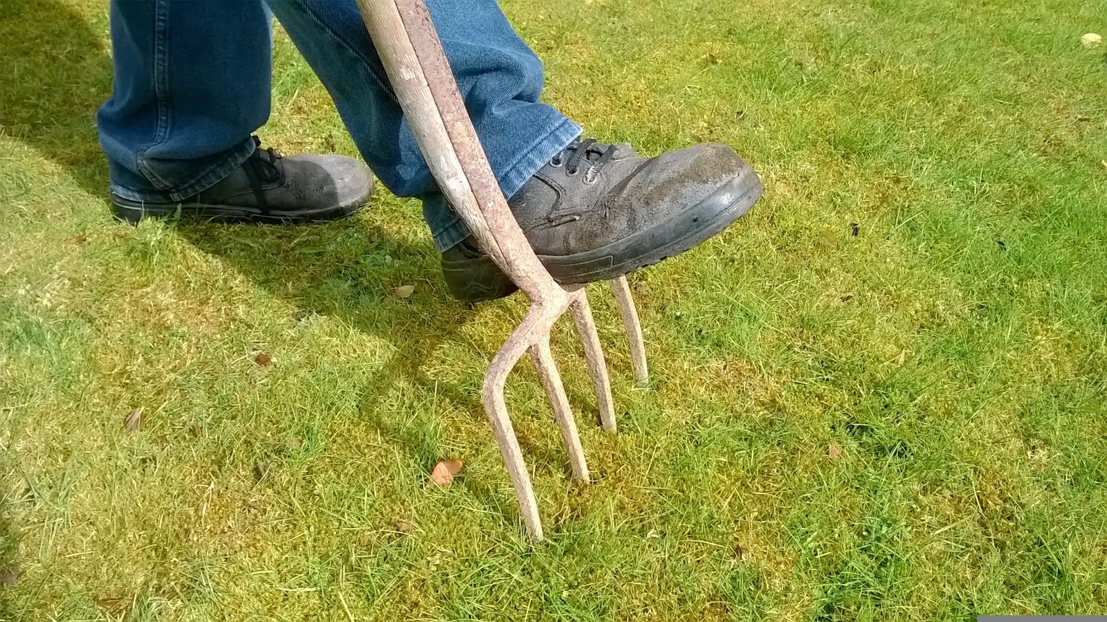 best manual core aerator
