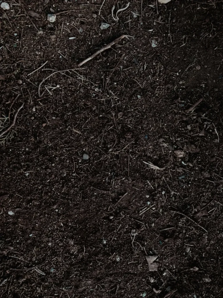 A great lawn starts beneath the surface.